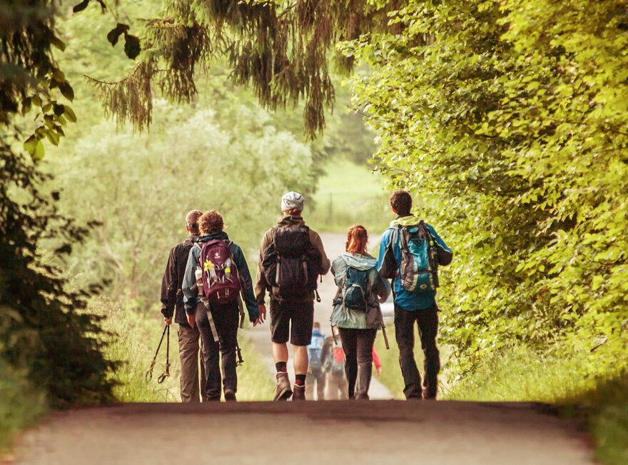 Das Bild zeigt mehrere Personen in Wanderkleidung und Rucksäcken, die vom Betrachter weggehen. Sie wandern auf einen bewaldeten unbefestigten Weg. Eine Person trägt Wanderstöcke. Sie Sonne taucht die Szenerie in warmes Licht.  
