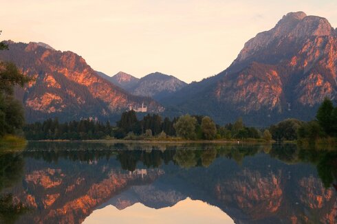 Das Bild zeigt eine friedliche Landschaft, die von einem majestätischen Gebirge beherrscht wird, das sich bis zum Horizont erstreckt. Die Berge, mit ihren schroffen Gipfeln und üppig grünen Wäldern, sind von dem warmen Schein der untergehenden Sonne überflutet. Der Himmel, in Tönen von Orange und Pink getaucht, wirft ein Reflexion auf den ruhigen Forggensee, der im Vordergrund liegt. Der See, mit seinen stillen Wassern, spiegelt die atemberaubende Berglandschaft und das Schloss Neuschwanstein wider, das sich auf einer Anhöhe vor dem Bergpanorama befindet.