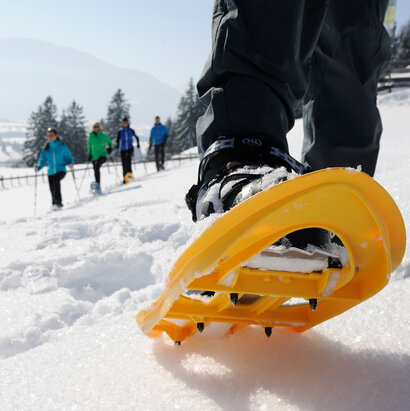 Das Bild zeigt fünf Personen bei einer Schneeschuhwanderung. Sie laufen durch eine frisch verschneite, unberührte Wiese. Im Vordergrund stehen gelbe Schneeschuhe im Vordergrund, die auf den Betrachter zulaufen. Von dieser Person sind nur die Beine zu sehen. Dahinter laufen vier weitere Personen mit Schneeschuhen, Stöcken und Sport-Winterkleidung. Sie sind nur unscharf zu erkennen. Im Hintergrund erheben sich die schneebedeckten Berge. Die Landschaft ringsum ist tief verschneit. Der Himmel ist blau. Die Sonne scheint. 