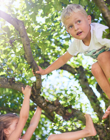 Das Bild fängt einen sinnlichen Moment von zwei Kindern ein, die in einem Baum spielen. Der Baum mit seinen üppigen grünen Blättern dient als natürliche Spieleinrichtung für die Kinder. Der Junge, der sich auf einem Ast festklammert, ist mit beiden Händen am Baum fest, und sein Körper hängt in der Luft. Sein Blick ist gerichtet zur Kamera, erfasst den Kern seines spielerischen Geistes.  Die Mädchen sieht man stehend am Boden, ihre Aufmerksamkeit ist auf den Jungen gerichtet. Sie streckt sich nach oben zu dem Jungen, wahrscheinlich, um an seinem spielerischen Unterfangen teilzunehmen. Das Bild vereint anschaulich die Unschuld und die Fröhlichkeit der Kindheit, bei der die Kinder mit ihrer Umgebung experimentieren und interagieren
