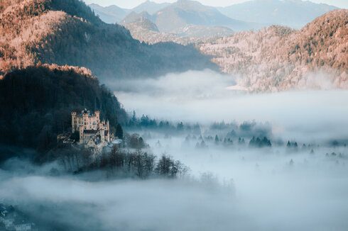 Das Foto zeigt das gelbe Schloss Hohenschwangau auf einer Anhöhe stehen. Es ragt wie eine Insel über dem Morgennebel hervor. Der Boden ist mit dichtem Nebel überzogen. Nur der ein oder andere Baumwipfel blinzelt schon aus dem Nebel hervor. Es ist Herbst. Die Blätter haben schon eine bunte Färbung. Es ist Morgen. Die Sonne scheint.  