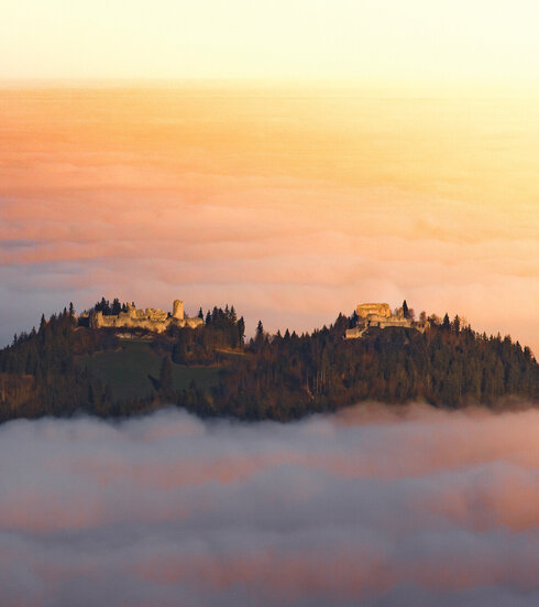 Das Bild fängt eine atemberaubende Aussicht einer Burg ein, die auf einem Hügel thront und von einem üppigen Wald umgeben ist. Die Burg, mit ihrer majestätischen Architektur, hebt sich vor dem Hintergrund des Himmels ab. Der Himmel ist in Tönen von Orange und Rosa gemalt, was darauf hindeutet, dass die Sonne gerade untergeht und die ganze Szene in ein warmes Licht taucht. Der auf dem Hügel liegende Burgberg ist mit Nebel bedeckt, was der Szene etwas Mystisches verleiht.