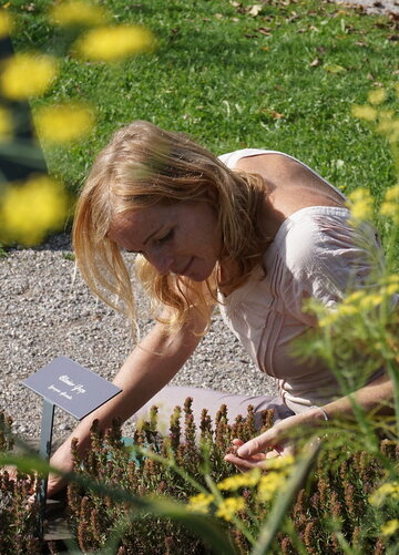 Das Bild zeigt einen Frau, die vor einem Kräuterbeet sitzt. Sie hat eine Blüte zwischen den Finger und betrachtet diese genau.  Vor ihr steht ein Schild, das wahrscheinlich den Namen des Krautes preisgibt. Leider ist es aus dieser Perspektive nicht lesbar. Im Hintergrund verläuft ein Kiesweg. Dazwischen Rasen. Im Vordergrund wachsen hohe Blumen mit blassgelben Blüten. Die Sonne scheint. 
