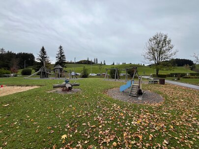 Auf dem Bild Sieht man einen Spielplatz in einer begrünten Umgebung. Am Boden liegt Herbstlaub.