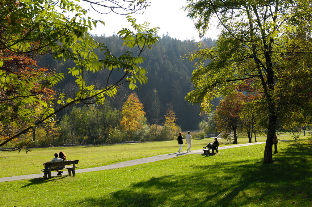 Das Bild fängt eine idyllische Parkszene ein. Im Vordergrund sitzen zwei Personen auf einer Bank und genießen die Ruhe des Parks. Die Bank steht auf einem Weg, der sich durch den Park schlängelt und Besucher dazu einlädt, die Schönheit des Parks zu erkunden.  Der Park selbst ist grün und üppig, mit einer Vielzahl von Bäumen und Sträuchern, die die Landschaft prägen. Die Bäume sind ein gemischter Bestand aus Laub und Nadelbäumen, deren Blätter ein lebendiges Grün bilden.  Im Hintergrund erhebt sich ein großer Hügel, dessen Hänge von einem dichten Wald bedeckt sind. Der Hügel bildet eine natürliche Kulisse für den Park und verleiht der Szene eine Tiefen- und Raumwirkung.  Der Himmel darüber ist ein klarer Blau, was auf einen sonnigen und hellen Tag hindeutet. Die gesamte Atmosphäre des Bildes ist eine von Frieden und Entspannung, eine perfekte Kulisse für einen gemütlichen Spaziergang oder einen ruhigen Moment der Reflexion.