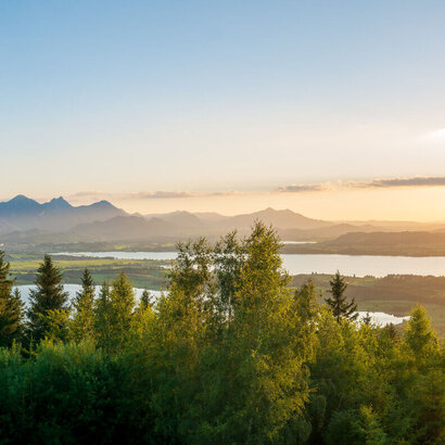 Das Bild fängt ein atemberaubendes Panorama einer gebirgigen Landschaft unter einem klaren blauen Himmel ein. Die Sonne geht unter und wirft ein warmes Licht auf die Szene. Die Berge, mit ihrem majestätischen Gipfeln, dominieren die Hintergrundlandschaft, ihre Silhouetten stechen gegen den Himmel hervor. Im Vordergrund spiegelt sich ein ruhiger See, der Bannwaldsee, der den Frieden der Szene unterstreicht. Der See wird von üppigen grünen Bäumen umgeben, deren Blätter sanft in dem leichten Wind rauschen. 