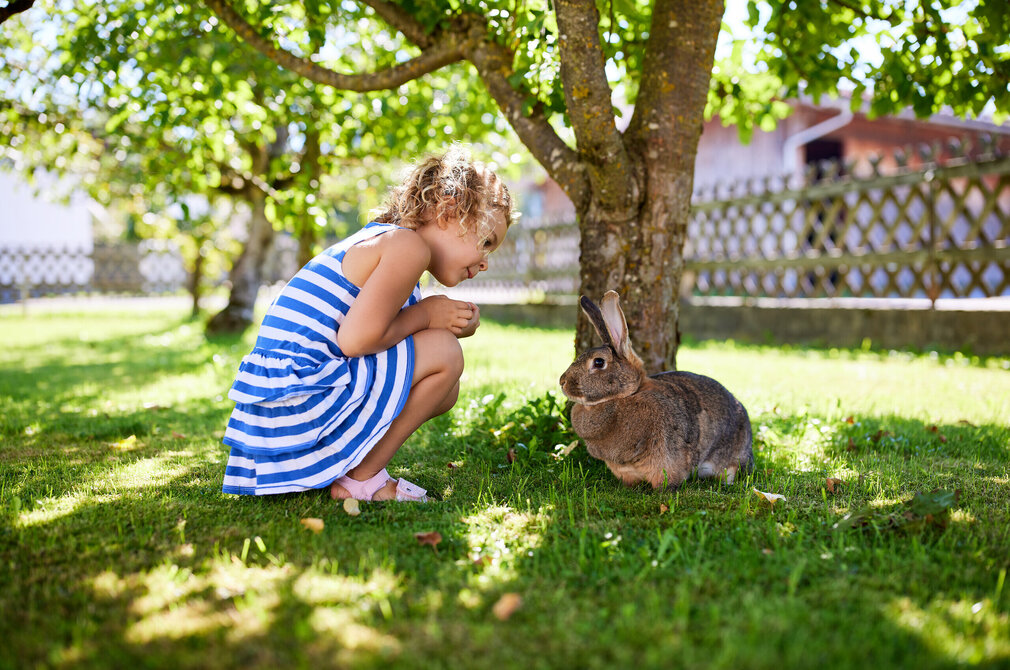 Das Bild fängt einen zarten Moment zwischen einem kleinen Mädchen und einem Hasen ein. Das Mädchen, das in einem blau-weiß gestreiften Kleid gekleidet ist, kniet auf dem Gras. Sie streckt ihre Hand aus, um den Hasen zu streicheln, der sich bequem im Schatten eines Baumes ausruht. Der Baum mit seinen grünen Blättern bildet den natürlichen Hintergrund zu dieser herzerwärmenden Szene. Im Hintergrund ist ein Holzzaun zu sehen, der zum ländlichen Charme der Umgebung beiträgt. Der fröhliche Ausdruck des Mädchens und die entspannte Haltung des Hasen deuten auf eine friedliche und freudige Interaktion zwischen den beiden hin.