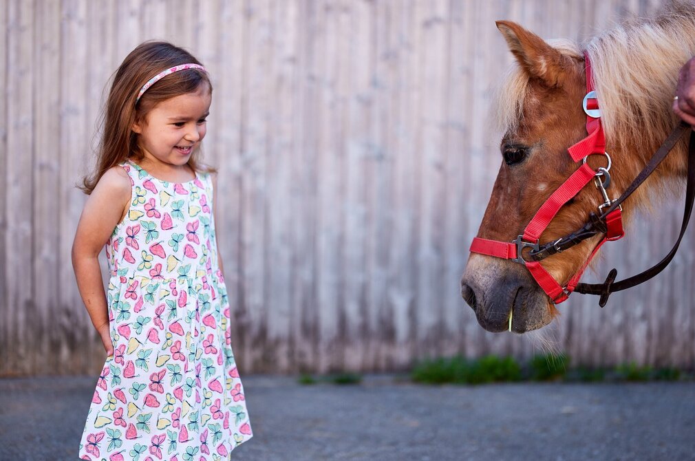 Das Bild fängt eine herzerwärmende Szene einer jungen Mädchen und eines braunen Pferdes ein. Das Mädchen, gekleidet in einem pinken Kleid, das mit pinken und lila Blumen verziert ist, steht auf der linken Seite des Bildes. Sie ist lächelnd, ihre Blicke fest auf das Pferd gerichtet. Das Pferd hingegen steht auf der rechten Seite des Bildes. Es trägt eine rote Zaumzeuge, die dem Bild einen Farbtupfer verleiht. Das Pferd scheint das Mädchen anzuschauen, schafft so eine Verbindung zwischen ihnen. Der Hintergrund ist ein hölzerner Zaun, der eine rustikale Kulisse für dieses charmante Ereignis bietet