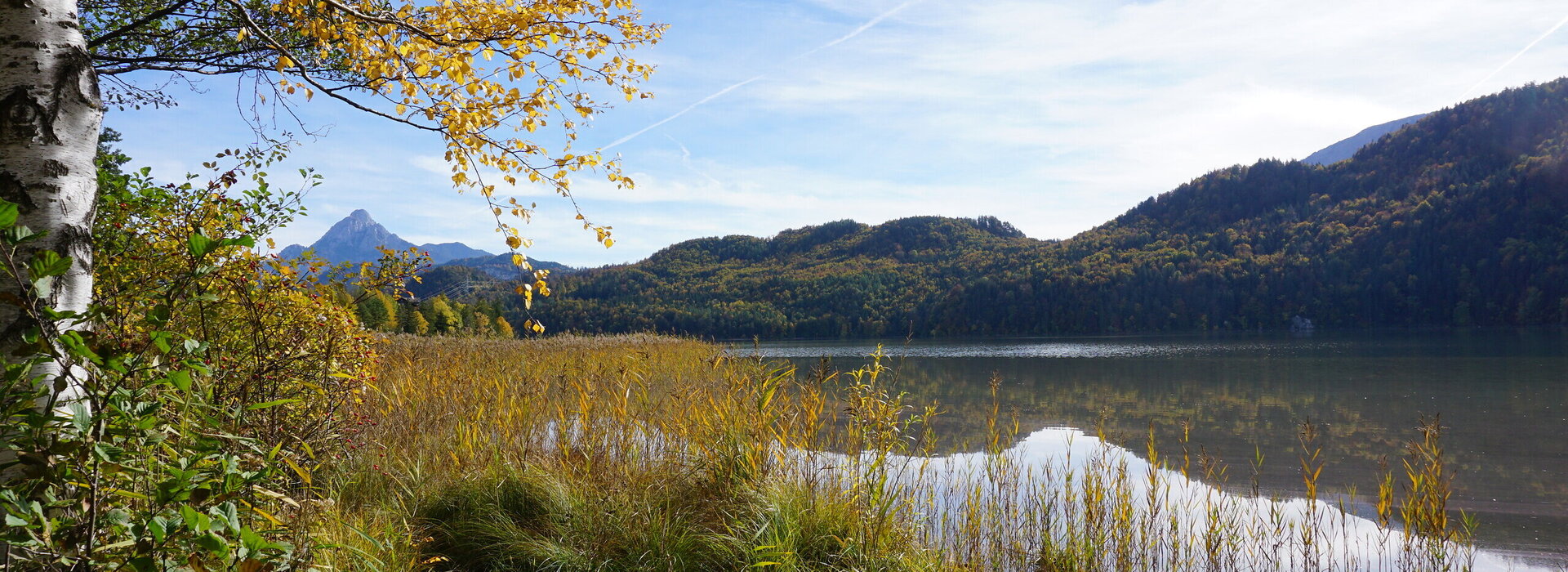 Man blickt über einen Schilfgürtel, vorbei an einer Bilke mit bunten Blättern auf einen See, dessen Wasseroberfläche ruhig daliegt. Im Hintergrund erheben sich bewaldete Hügel, deren Laub schon die bunten Farben des Herbsts angenommen haben. Der Himmel ist blau, mit weißen Wolken durchzogen. Die Sonne scheint. 