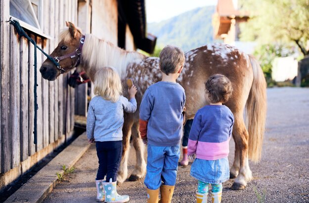 Das Bild fängt einen ruhigen Moment von drei Kindern ein, zwei Jungen und ein Mädchen, die vor einem braunen Pferd stehen. Das Pferd, das mit einer lila Halfter geschmückt ist, ist der Mittelpunkt der Aufmerksamkeit. Die Kinder sind in legerer Kleidung gekleidet, mit dem Mädchen, das ein pinkfarbenes Jacke trägt, und die Jungen in blauen Jackets. Der lange Schweif des Pferdes ist sichtbar, was der Szene einen Reiz verleiht. Die Kulisse zeigt einen hölzernen Zaun und ein Gebäude, die eine ländliche Kulisse für dieses herzerwärmende Interaktion zwischen den Kindern und dem Pferd bieten.