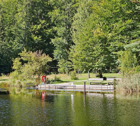Das Bild zeigt das Ufer eines Sees. Das Bild ist vom See aus aufgenommen. Der ufernahe Wasserbereich ist mit einer dunkelblauen, schnurartigen Wasserabgrenzung gekennzeichnet. Innerhalb des abgegrenzten Bereichs sind Geländer parallel zum Ufer angebracht.  Vom Ufer führen Stufen ins Wasser. Am Ufer stehen zwei Bänke. Im Hintergrund ragen hohe, grüne Laubbäume in die Höhe. 