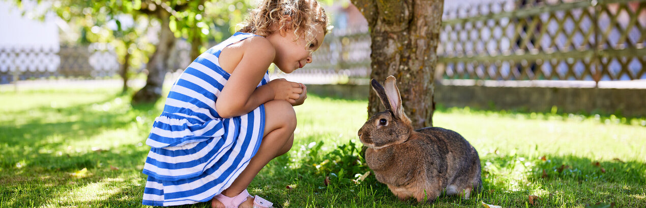 Das Bild fängt einen zarten Moment zwischen einem kleinen Mädchen und einem Hasen ein. Das Mädchen, das in einem blau-weiß gestreiften Kleid gekleidet ist, kniet auf dem Gras. Sie streckt ihre Hand aus, um den Hasen zu streicheln, der sich bequem im Schatten eines Baumes ausruht. Der Baum mit seinen grünen Blättern bildet den natürlichen Hintergrund zu dieser herzerwärmenden Szene. Im Hintergrund ist ein Holzzaun zu sehen, der zum ländlichen Charme der Umgebung beiträgt. Der fröhliche Ausdruck des Mädchens und die entspannte Haltung des Hasen deuten auf eine friedliche und freudige Interaktion zwischen den beiden hin.