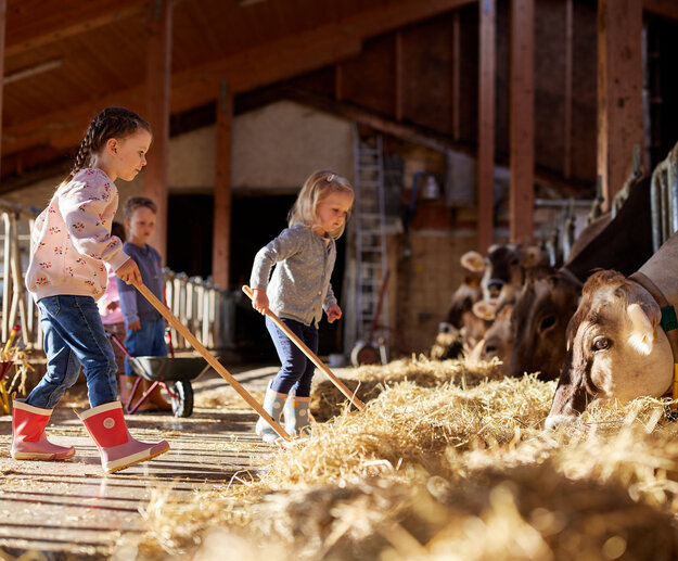  Die aufgenommene Szene zeigt ein lebhaftes Geschehen auf einem Bauernhof. Es sind drei kleine Kinder zu sehen, zwei Mädchen und ein Junge, die begeistert mit den Hof-Tieren spielen. Das Mädchen auf der linken Seite, mit einem pinke Jacket und pink Gummistiefeln, hält einen Holzstab in der Hand. Das Mädchen in der Mitte, mit einem graue Jacket, hält ebenfalls einen Holzstab. Der Junge auf der rechten Seite, mit einem blaue Jacket, hält ebenfalls einen Holzstab. Sie alle stehen auf einer hölzernen Plattform, die mit Heu bedeckt ist. Die Hof-Tiere, einschließlich Kühe und Schafe, sind über die Plattform verstreut, was der Szene einen ländlichen Charme verleiht. Die Kinder scheinen ihre Zeit auf dem Bauernhof zu genießen, interagieren mit den Tieren und erkunden ihre Umgebung.