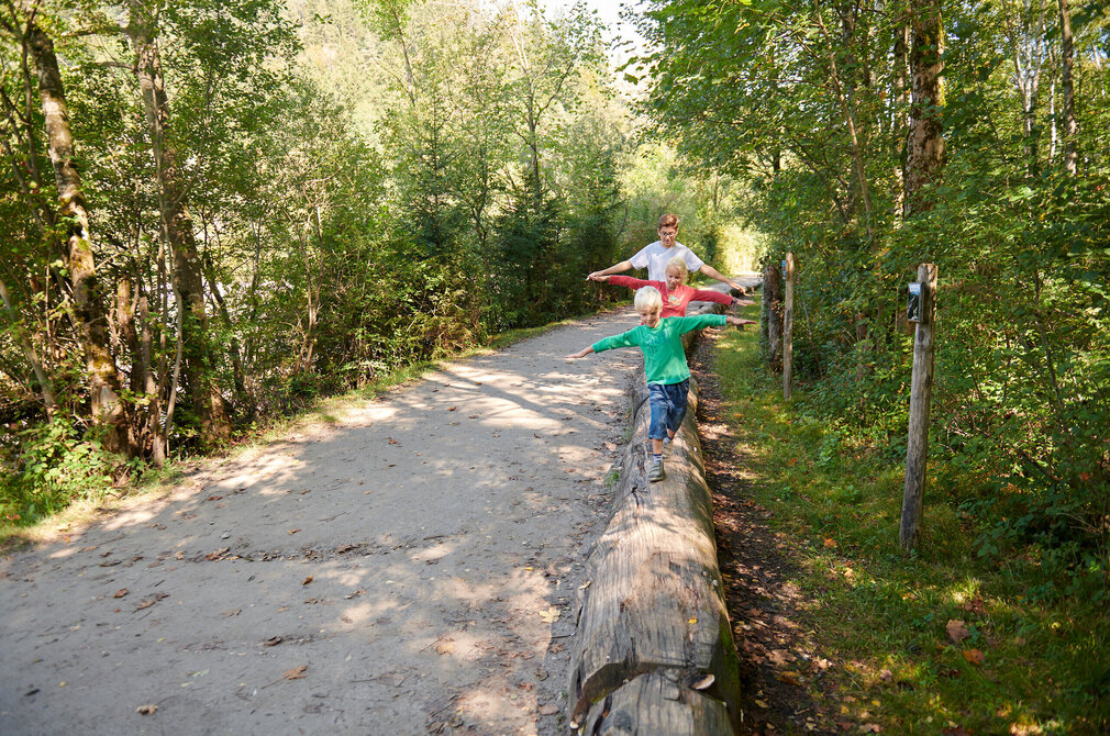 Die Aufnahme zeigt eine friedliche Szene in einem Wald. Zwei Personen stehen auf einem umgestürzten Baum, der auf dem Boden liegt. Die Person auf der linken Seite trägt ein grünes Hemd, während die Person auf der rechten Seite in Rot gekleidet ist. Beide scheinen in einem Zustand des Gleichgewichts zu sein, als ob sie eine Kür auf dem Baumstamm ausführen würden.  Der umgestürzte Baum ist von dichten grünen Bäumen und Büschen umgeben und bietet so eine natürliche Kulisse für dieses ungewöhnliche Schauspiel. Der Boden unter ihnen ist von Sand bedeckt und das Sonnenlicht dringt durch die Bäume, um eine wärmende Stimmung in der Szene zu erzeugen. Das Bild vermittelt ein Gefühl von Abenteuer und Kameradschaft zwischen den beiden Individuen.