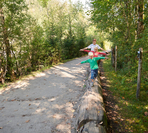Die Aufnahme zeigt eine friedliche Szene in einem Wald. Zwei Personen stehen auf einem umgestürzten Baum, der auf dem Boden liegt. Die Person auf der linken Seite trägt ein grünes Hemd, während die Person auf der rechten Seite in Rot gekleidet ist. Beide scheinen in einem Zustand des Gleichgewichts zu sein, als ob sie eine Kür auf dem Baumstamm ausführen würden.  Der umgestürzte Baum ist von dichten grünen Bäumen und Büschen umgeben und bietet so eine natürliche Kulisse für dieses ungewöhnliche Schauspiel. Der Boden unter ihnen ist von Sand bedeckt und das Sonnenlicht dringt durch die Bäume, um eine wärmende Stimmung in der Szene zu erzeugen. Das Bild vermittelt ein Gefühl von Abenteuer und Kameradschaft zwischen den beiden Individuen.