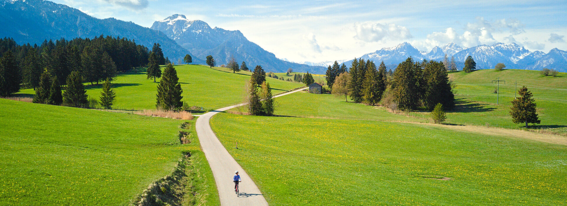 Das Bild zeigt eine Wiesenlandschaft, die von einem Weg durchzogen ist. Im Hintergrund erheben sich die Tannheimer und Ammergauer Alpen. Auf dem Weg fährt eine Person mit dem Rad. 