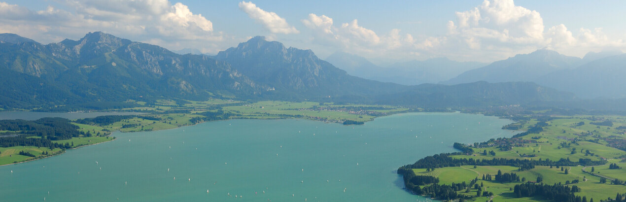 Das Bild zeigt eine Luftaufnahme einer friedlichen Landschaft, die von einem großen, tiefblauen See dominiert wird - dem Forggensee. Der See liegt eingebettet in eine üppig grüne Landschaft, mit grünen Feldern, die sich bis zum Ufer des Sees erstrecken. Die Oberfläche des Sees ist mit mehreren kleinen Booten übersät, die eine zusätzliche Lebendigkeit in die friedliche Szene bringen. In der Ferne erheben sich majestätische Berge, deren Gipfel den klaren blauen Himmel berühren. 