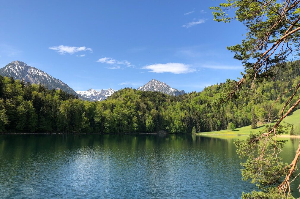 Das Bild fängt eine ruhige und malerische Szene eines Sees ein, der tief inmitten eines grünen Waldes eingebettet ist. Es handelt sich um den tiefblauen Alatsee, der den zentralen Fokus des Bildes auf sich lenkt. Er erstreckt sich zum Horizont hin, sein ruhiges Wasser spiegelt die umliegende Vegetation wider. Der Wald, ein dichtes Geflecht an Bäumen, umschließt den See und schafft so ein Gefühl von Einsamkeit und Ruhe. In der Ferne erheben sich majestätische Berge, deren weiß bedeckte Gipfel der Szene eine zusätzliche Würde verleihen. Der Himmel darüber ist ein klares Blau mit einigen Wolken, die die Schönheit dieser Naturoase noch verstärken. 