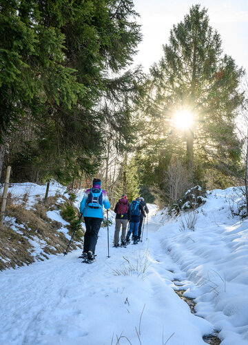 Das Bild zeigt vier Personen bei einer Schneeschuhwanderung. Sie laufen einen verschneiten Weg empor. Ringsum stehen hohe Bäume, durch deren Äste die Sonne scheint. Alle tragen Sport-Winterkleidung. Die Landschaft ringsum ist tief verschneit. Der Himmel ist blau. 