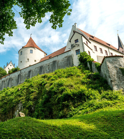 Man blickt von unten auf einen Teil des Hohen Schlosses. Ein Turm und spitz zulaufende Dächer sind zu sehen. Darunter liegt eine grüne Wiese. Die Schlossmauer ist von grünen Pflanzen bewachen. Der Himmel ist blau. Die Sonne scheint.
