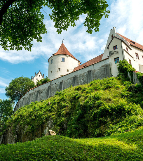 Man blickt von unten auf einen Teil des Hohen Schlosses. Ein Turm und spitz zulaufende Dächer sind zu sehen. Darunter liegt eine grüne Wiese. Die Schlossmauer ist von grünen Pflanzen bewachen. Der Himmel ist blau. Die Sonne scheint.