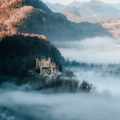 Das Foto zeigt das gelbe Schloss Hohenschwangau auf einer Anhöhe stehen. Es ragt wie eine Insel über dem Morgennebel hervor. Der Boden ist mit dichtem Nebel überzogen. Nur der ein oder andere Baumwipfel blinzelt schon aus dem Nebel hervor. Es ist Herbst. Die Blätter haben schon eine bunte Färbung. Es ist Morgen. Die Sonne scheint.  