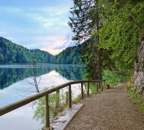 Das Bild zeigt einen Uferweg, der entlang eines ruhigen Sees führt. Bei dem See handelt es sich um den Alatsee. Der Weg wird von einem hölzernen Geländer zum See hin begrenzt und von üppig grünem Buschwerk und Bäumen eingerahmt, was einen natürlichen Korridor bildet. Der Alatsee, der die umgebende Vegetation widerspiegelt, liegt eingebettet zwischen einer Kulisse malerischer Berge. Der Himmel über ist ein wunderschönes Panorama in Blau, verziert mit flauschigen Wolken. 