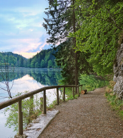 Das Bild zeigt einen Uferweg, der entlang eines ruhigen Sees führt. Bei dem See handelt es sich um den Alatsee. Der Weg wird von einem hölzernen Geländer zum See hin begrenzt und von üppig grünem Buschwerk und Bäumen eingerahmt, was einen natürlichen Korridor bildet. Der Alatsee, der die umgebende Vegetation widerspiegelt, liegt eingebettet zwischen einer Kulisse malerischer Berge. Der Himmel über ist ein wunderschönes Panorama in Blau, verziert mit flauschigen Wolken. 