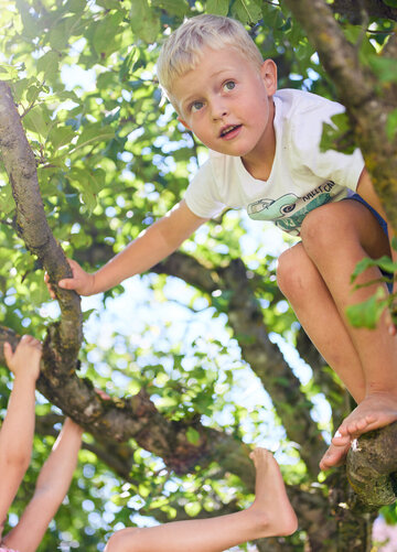 Das Bild fängt einen sinnlichen Moment von zwei Kindern ein, die in einem Baum spielen. Der Baum mit seinen üppigen grünen Blättern dient als natürliche Spieleinrichtung für die Kinder. Der Junge, der sich auf einem Ast festklammert, ist mit beiden Händen am Baum fest, und sein Körper hängt in der Luft. Sein Blick ist gerichtet zur Kamera, erfasst den Kern seines spielerischen Geistes.  Die Mädchen sieht man stehend am Boden, ihre Aufmerksamkeit ist auf den Jungen gerichtet. Sie streckt sich nach oben zu dem Jungen, wahrscheinlich, um an seinem spielerischen Unterfangen teilzunehmen. Das Bild vereint anschaulich die Unschuld und die Fröhlichkeit der Kindheit, bei der die Kinder mit ihrer Umgebung experimentieren und interagieren