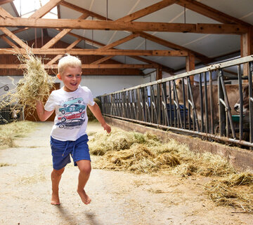 Das Bild zeigt einen fröhlichen Moment eines jungen Jungen, der durch ein Heuboden voller Heu läuft. Der Junge, der der Hauptgegenstand des Bildes ist, ist in der Mitte des Rahmens. Er hält ein großes Heu-Ballen in seinen Armen, was darauf hindeutet, dass er dabei helfen könnte, den Heuboden in Ordnung zu halten. Der Heuboden selbst ist geräumig und gut beleuchtet, mit Holzbalken und einem Metallzaun im Hintergrund sichtbar. Der Lächeln des Jungen und die allgemeine Atmosphäre des Bildes vermittelt ein Gefühl von Fröhlichkeit und Unbeschwertheit.