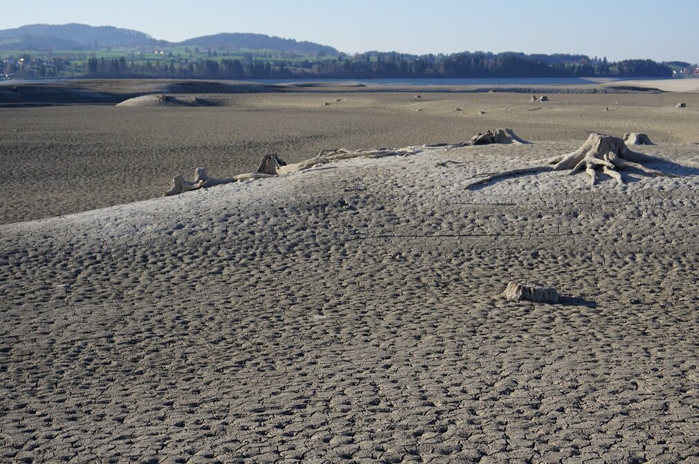 Die Aufnahme zeigt eine weitläufige, karge Landschaft, von jeglicher Vegetation befreit. Das Gelände ist eine Mischung aus Sand und Staub und zeigt neben kleinen Hügeln auch Schwemmholz und alte, abgestorbene Baumstümpfe auf der Oberfläche verstreut. Der Himmel darüber ist hell und klar. In der Ferne sind eine Reihe von Bergen zu erkennen, die der Szene Tiefe und Maßstab verleihen. Es handelt ich hier um den leeren Stausee Forggensee.