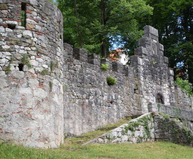Das Foto zeigt eine alte Steinmauer mit Zinnen und einer Steintreppen. Im Hintergrund befinden sich hohe, grüne Laubbäume, die die Steinmauer überragen. Im Vordergrund ist eine Wiese zu sehen. Der Himmel ist blau. Die Sonne scheint.