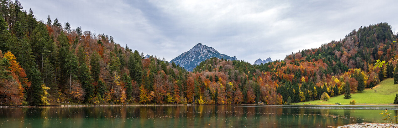 Das Bild fängt eine friedliche Szene eines Sees ein. Es handelt sich um den Alatsee, der von einem Wald umgeben ist. Ein kleines rotes und weißes Boot ist auf der linken Seite des Bildes festgemacht, seine leuchtenden Farben kontrastieren mit dem ruhigen Wasser. Das Boot ist leer, und lässt den Betrachter sich vorstellen, wie er mit dem Rudern über den See schippert. Der See selbst ist ein tiefes Blau und spiegelt den klaren Himmel darüber wider. Der Wald, der den See umgibt, ist eine Mischung aus grünen und orangefarbenen Tönen, was auf die sich ändernden Jahreszeiten hindeutet. Die Berge im Hintergrund verleihen dem Bild ein Gefühl von Tiefe und Größe. 