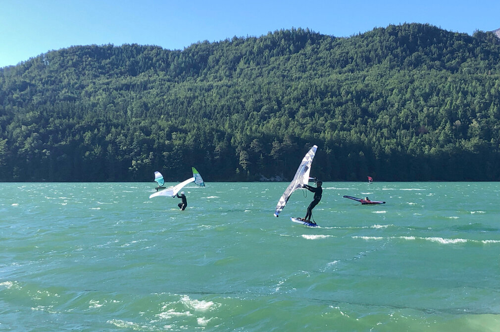 Das Bild zeigt mehrere Windsurfer, die bei unruhigem Wasser surfen. Im Hintergrund erheben sich bewaldete Hügel am Ufer. Der Himmel ist blau. Die Sonne scheint.  