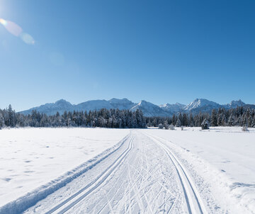 Das Bild zeigt eine frisch gespurte Ski-Langlaufloipe, die durch eine tief verschneite Wiese führt. Kein Mensch ist zu sehen. Im Hintergrund erheben sich die schneebedeckten Berge. Davor steht ein Nadelwald. Die Landschaft ringsum ist tief verschneit. Der Himmel ist blau. Die Sonne scheint. 