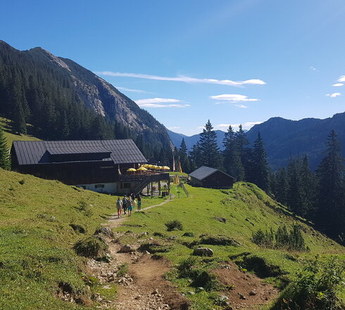 Das Bild zeigt eine Alm. Mehrere Personen laufen auf einem unbefestigten Weg auf die Alm zu. Sie ist umgeben von Wiesen und Wäldern. Im Hintergrund erheben sich hohe Berge. Die Sonne scheint. Der Himmel ist blau.  