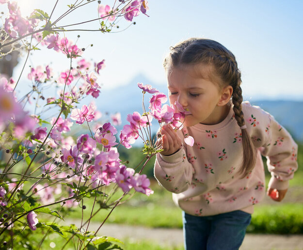 Das Bild zeigt ein junges Mädchen in einer idyllischen Außenkulisse. Sie steht vor einem Busch, der mit pinkfarbenen Blüten übersät ist. Das Mädchen trägt eine pinke Pullover mit Blumenmustern, die zu den lebhaften Blumen um sie herum passen. Ihr Haar ist zu einem Zopf gebunden, was zu ihrem frischen Charme beiträgt. Das Mädchen lehnt sich zu den Blumen, ihre Nase fast berührend, als ob sie ihren Duft einatmet. Im Hintergrund des Bildes ist ein üppiges grünes Feld zu sehen, im Hintergrund sind schwach sichtbare Bergketten. Die gesamte Szene strahlt eine Atmosphäre der Ruhe und des Respekts vor der Natur aus.