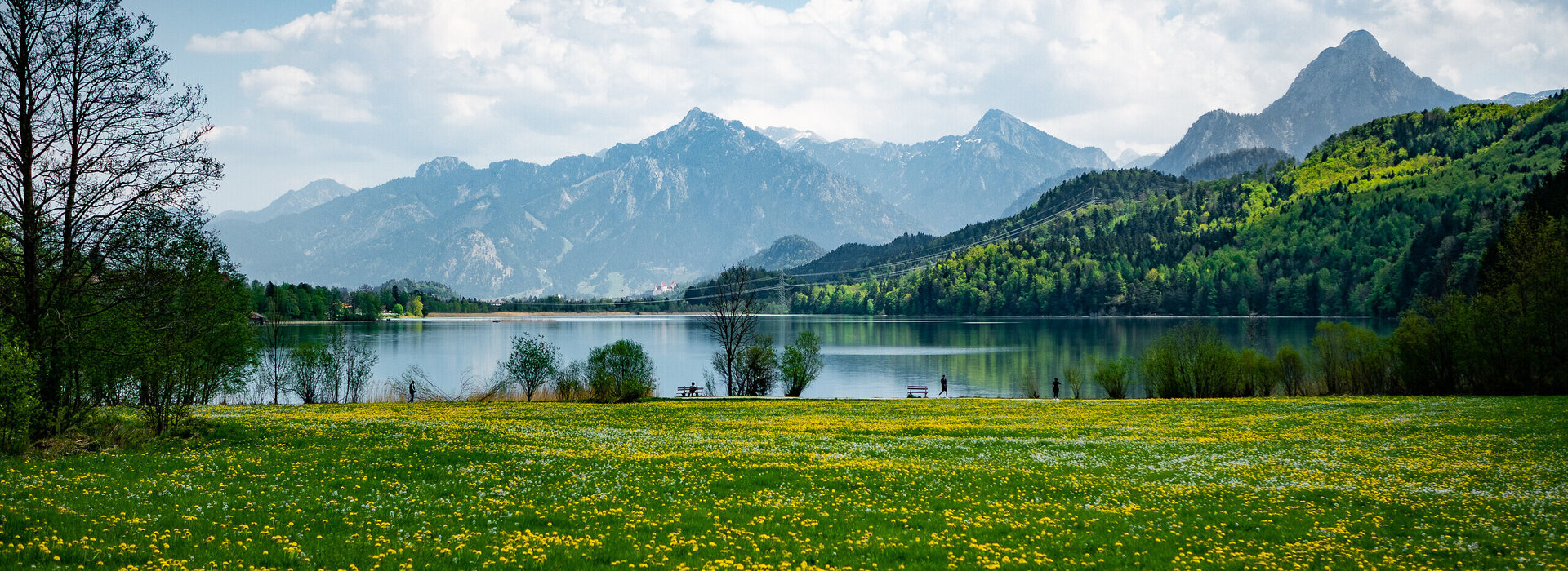 Im Vordergrund des Sees ist eine grüne von unzähligen gelben Löwenzahlblüten übersäte Wiese zu sehen. Hinter der Wiese liegt ein blauer See. Der See ist ringsherum mit Bäumen eingerahmt. Auf der rechten Seite des Bildes ragen bewaldeten Hügel empor. Im Hintergrund erheben sich die Berge. Der Himmel ist blau. Die Sonne scheint.   