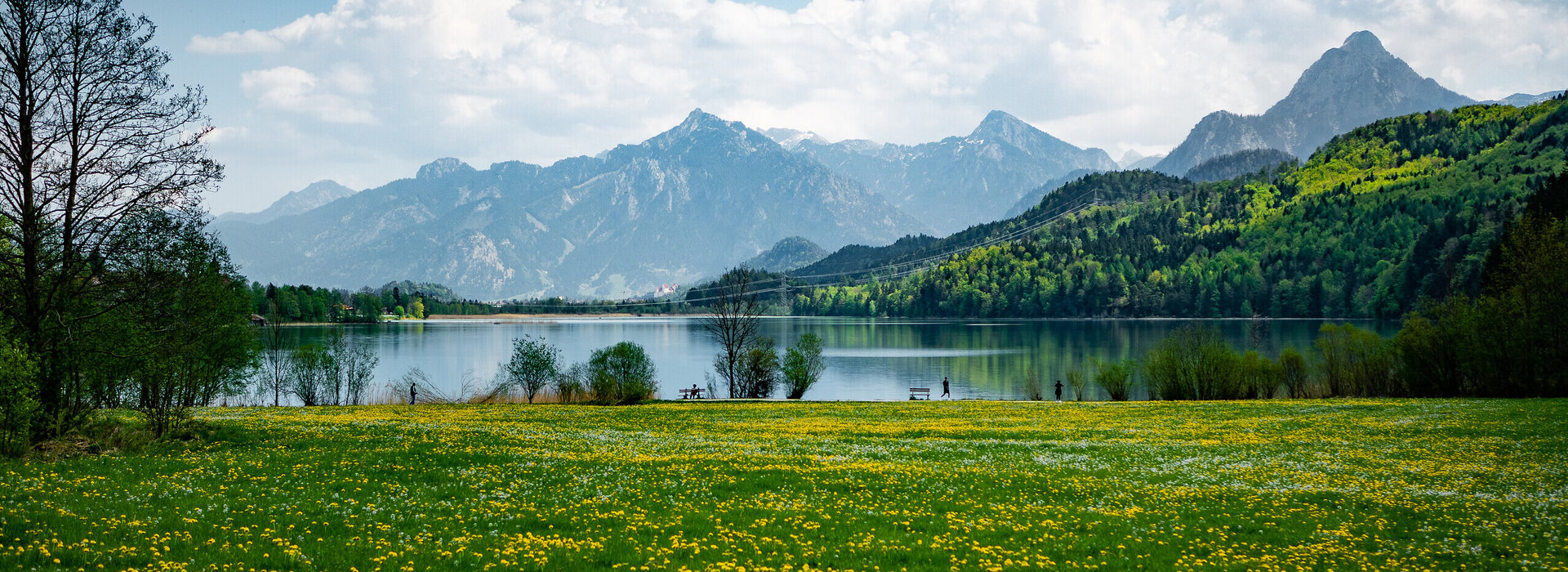 Im Vordergrund des Sees ist eine grüne von unzähligen gelben Löwenzahlblüten übersäte Wiese zu sehen. Hinter der Wiese liegt ein blauer See. Der See ist ringsherum mit Bäumen eingerahmt. Auf der rechten Seite des Bildes ragen bewaldeten Hügel empor. Im Hintergrund erheben sich die Berge. Der Himmel ist blau. Die Sonne scheint.   