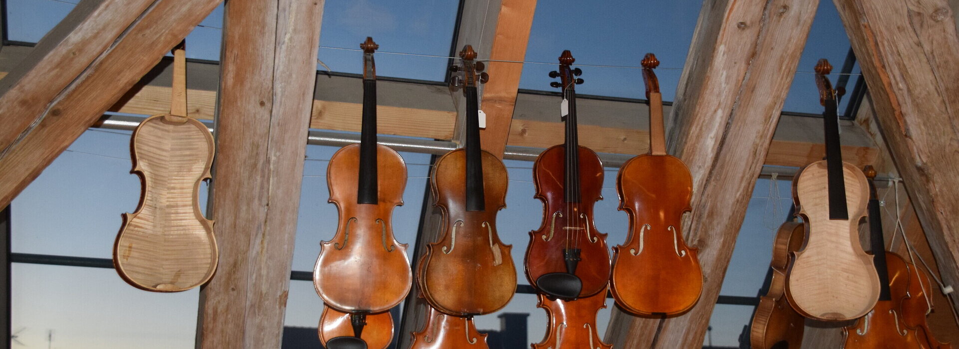 Das Foto zeigt eine Reihe reparaturbedürftiger Geigen vor dem Dachfenster in der Geigenbauerwerkstatt von Pierre und Eric Chaubert in Füssen im Allgäu.