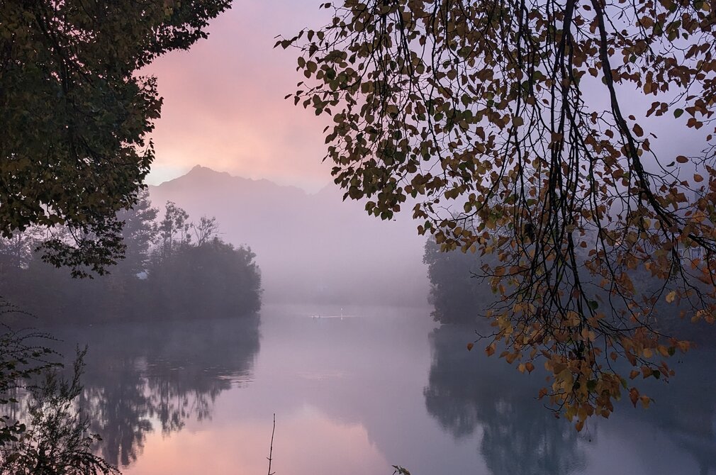 Das Bild zeigt eine friedliche Szene am Fluss Lech bei Sonnenaufgang. Der Himmel, der in Rosa und Lila-Töne getaucht ist, dient als atemberaubende Kulisse für das ruhige Wasser. Der Fluss, ruhig und unberührt, spiegelt die Farben des Himmels wider, was ein beeindruckendes Reflexionsbild erzeugt. Auf der linken und rechten Vorderseite des Bildes stehen Bäume, deren Äste in die Bildmitte reichen. Das Laub der Bäume, eine Mischung aus Grün und Gelb, bringen einen Hauch von Herbst in die Szene. 