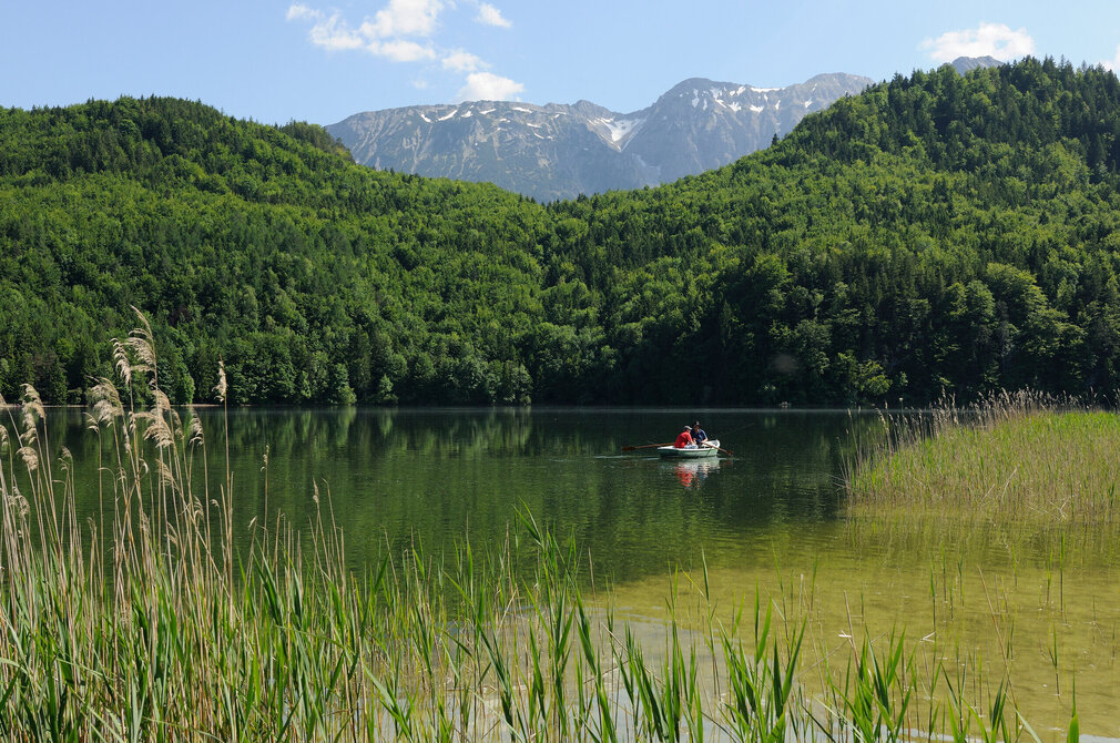 Das Bild zeigt zwei Personen, die in einem Ruderboot sitzen, das auf einem See schwimmt. Im Hintergrunderheben sich bewaldete Hügel, dahinter hohe Berge. Im Vordergrund befindet sich ein Schildgürtel. Der See liegt ganz ruhig da. Der Himmel ist blau. Die Sonne scheint. 