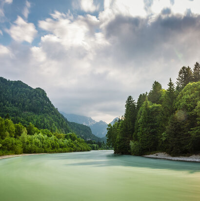 Das Bild zeigt eine friedliche Landschaft um den Fluss Lech, der durch einen grünen Wald fließt. Der Fluss, mit seinem leicht türkisenen Wasser, ist der zentrale Fokus des Bildes. Er windet sich durch den dichten Wald, erzeugt einen Sinn von Ruhe und Harmonie mit der Natur. Der Wald ist ein kräftiges Grün, gefüllt mit hohen Bäumen, die über den Fluss hineinwachsen. Der blaue Himmel darüber ist mit flauschigen weißen Wolken durchzogen, die zur Schönheit der Szene beitragen. Das Bild wird aus der Ferne aufgenommen, was einen umfassenden Blick auf den Fluss sowie den umliegenden Wald erlaubt. Die Perspektive des Bildes betont Tiefe, was die Weite des Waldes und des Flusses unterstreicht. Das Bild ist eine schöne Darstellung von Naturfrieden und der Harmonie zwischen dem Fluss und dem Wald.
