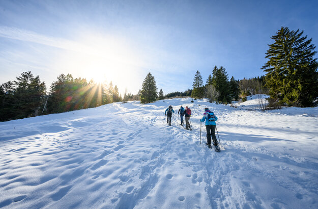 Das Bild fängt eine ruhige Winterlandschaft ein. Eine Gruppe von Menschen, in Wintersportbekleidung gehüllt, sind am Anstieg auf einer schneebedeckten Piste laufend. Die Schneeschuhwanderer bewegen sich in einer Reihe, wobei die Person vorne den Weg weist. Die Piste ist mit Bäumen gesprenkelt, was der Szene einen schönen Eindruck von Natur verleiht. Der Himmel darüber ist in einem klareren Blau, was auf einen hellen und sonnigen Tag hinweist. Die Sonne scheint hell, wirft ein warmes Glühen auf den Schnee und die Schneeschuwanderer. Die Atmosphäre des Bildes versprüht Abenteuer und auch den Genuß der Natur.
