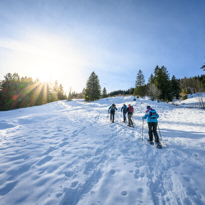 Das Bild fängt eine ruhige Winterlandschaft ein. Eine Gruppe von Menschen, in Wintersportbekleidung gehüllt, sind am Anstieg auf einer schneebedeckten Piste laufend. Die Schneeschuhwanderer bewegen sich in einer Reihe, wobei die Person vorne den Weg weist. Die Piste ist mit Bäumen gesprenkelt, was der Szene einen schönen Eindruck von Natur verleiht. Der Himmel darüber ist in einem klareren Blau, was auf einen hellen und sonnigen Tag hinweist. Die Sonne scheint hell, wirft ein warmes Glühen auf den Schnee und die Schneeschuwanderer. Die Atmosphäre des Bildes versprüht Abenteuer und auch den Genuß der Natur.