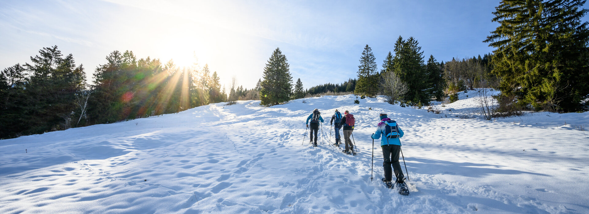 Das Bild fängt eine ruhige Winterlandschaft ein. Eine Gruppe von Menschen, in Wintersportbekleidung gehüllt, sind am Anstieg auf einer schneebedeckten Piste laufend. Die Schneeschuhwanderer bewegen sich in einer Reihe, wobei die Person vorne den Weg weist. Die Piste ist mit Bäumen gesprenkelt, was der Szene einen schönen Eindruck von Natur verleiht. Der Himmel darüber ist in einem klareren Blau, was auf einen hellen und sonnigen Tag hinweist. Die Sonne scheint hell, wirft ein warmes Glühen auf den Schnee und die Schneeschuwanderer. Die Atmosphäre des Bildes versprüht Abenteuer und auch den Genuß der Natur.