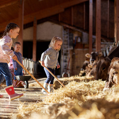  Die aufgenommene Szene zeigt ein lebhaftes Geschehen auf einem Bauernhof. Es sind drei kleine Kinder zu sehen, zwei Mädchen und ein Junge, die begeistert mit den Hof-Tieren spielen. Das Mädchen auf der linken Seite, mit einem pinke Jacket und pink Gummistiefeln, hält einen Holzstab in der Hand. Das Mädchen in der Mitte, mit einem graue Jacket, hält ebenfalls einen Holzstab. Der Junge auf der rechten Seite, mit einem blaue Jacket, hält ebenfalls einen Holzstab. Sie alle stehen auf einer hölzernen Plattform, die mit Heu bedeckt ist. Die Hof-Tiere, einschließlich Kühe und Schafe, sind über die Plattform verstreut, was der Szene einen ländlichen Charme verleiht. Die Kinder scheinen ihre Zeit auf dem Bauernhof zu genießen, interagieren mit den Tieren und erkunden ihre Umgebung.
