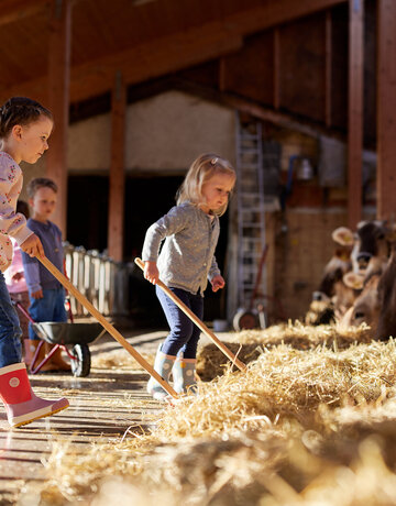 Die aufgenommene Szene zeigt ein lebhaftes Geschehen auf einem Bauernhof. Es sind drei kleine Kinder zu sehen, zwei Mädchen und ein Junge, die begeistert mit den Hof-Tieren spielen. Das Mädchen auf der linken Seite, mit einem pinke Jacket und pink Gummistiefeln, hält einen Holzstab in der Hand. Das Mädchen in der Mitte, mit einem graue Jacket, hält ebenfalls einen Holzstab. Der Junge auf der rechten Seite, mit einem blaue Jacket, hält ebenfalls einen Holzstab. Sie alle stehen auf einer hölzernen Plattform, die mit Heu bedeckt ist. Die Hof-Tiere, einschließlich Kühe und Schafe, sind über die Plattform verstreut, was der Szene einen ländlichen Charme verleiht. Die Kinder scheinen ihre Zeit auf dem Bauernhof zu genießen, interagieren mit den Tieren und erkunden ihre Umgebung.