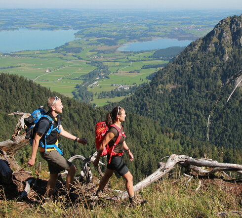 Das Bild zeigt einen Mann und eine Frau beim Wandern in den Bergen. Sie tragen kurze Wanderkleidung. Sie haben bereits einige Höhenmeter zurückgelegt. Im Tal sind grüne Wiesen, Wälder und Seen zu sehen. Die Sonne scheint.   