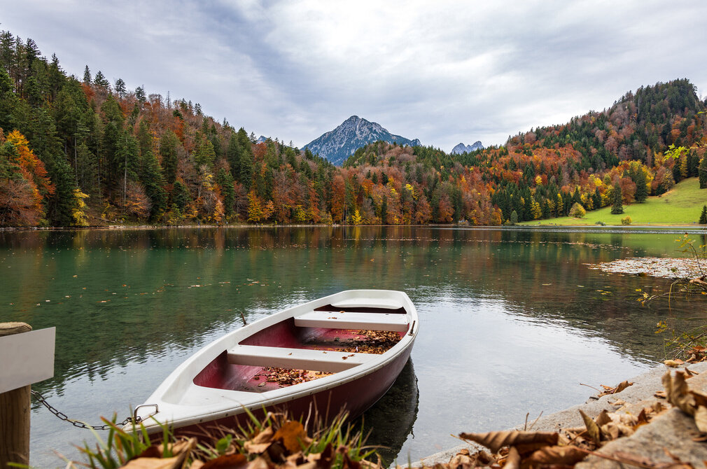 Das Bild fängt eine friedliche Szene eines Sees ein. Es handelt sich um den Alatsee, der von einem Wald umgeben ist. Ein kleines rotes und weißes Boot ist auf der linken Seite des Bildes festgemacht, seine leuchtenden Farben kontrastieren mit dem ruhigen Wasser. Das Boot ist leer, und lässt den Betrachter sich vorstellen, wie er mit dem Rudern über den See schippert. Der See selbst ist ein tiefes Blau und spiegelt den klaren Himmel darüber wider. Der Wald, der den See umgibt, ist eine Mischung aus grünen und orangefarbenen Tönen, was auf die sich ändernden Jahreszeiten hindeutet. Die Berge im Hintergrund verleihen dem Bild ein Gefühl von Tiefe und Größe. 